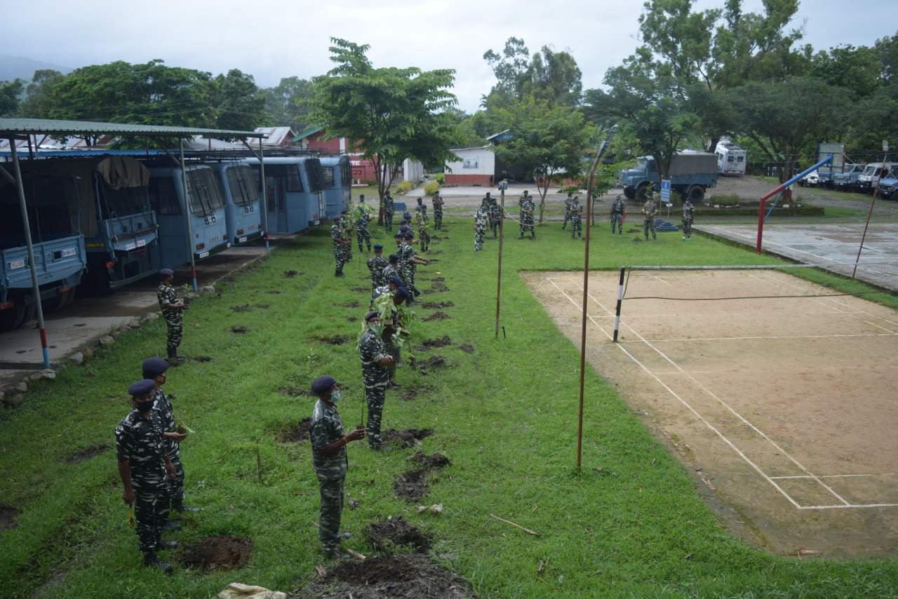   Glimpse of Plantation Drive