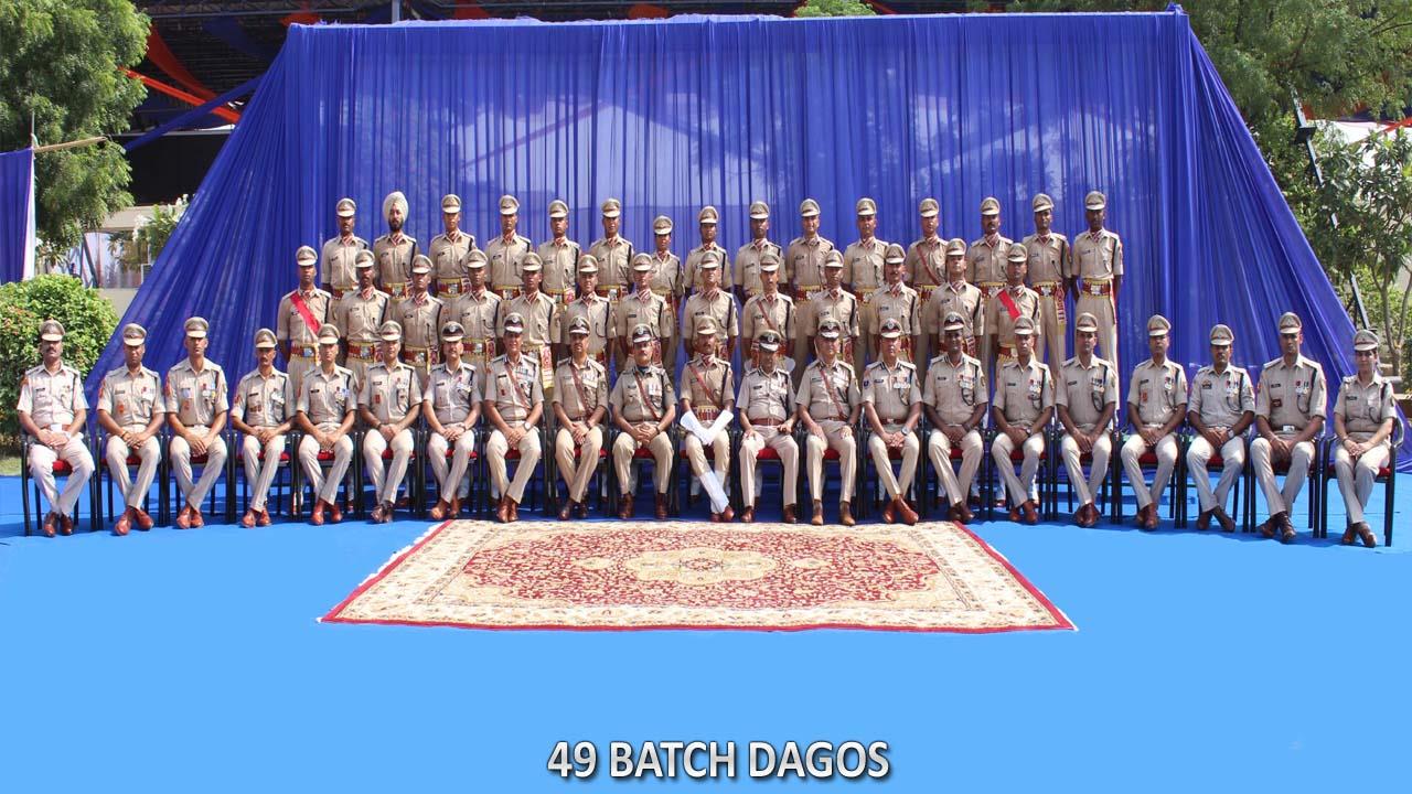  49 BATCH DAGOs