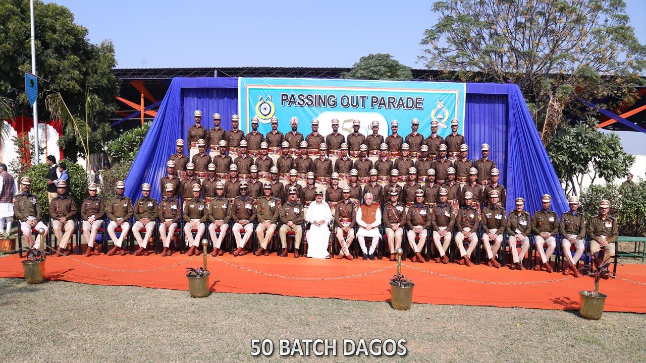  50 BATCH DAGOs