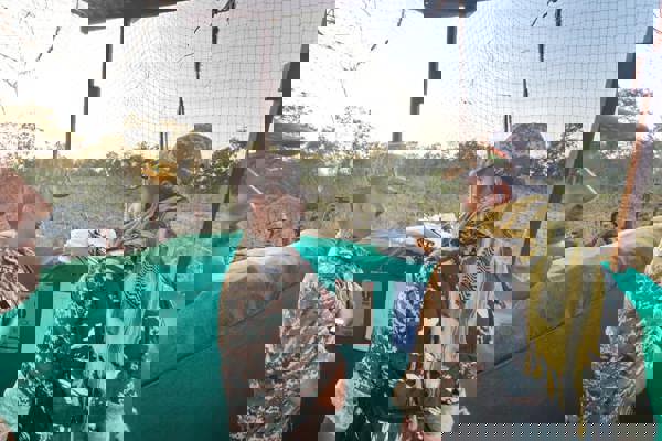 एफओबी तडापला की झलकियाँ