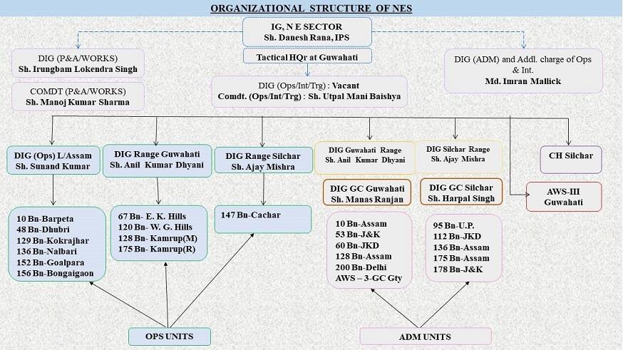 North Eastern Organization Structure