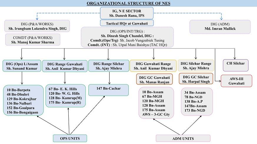 North Eastern Organization Structure