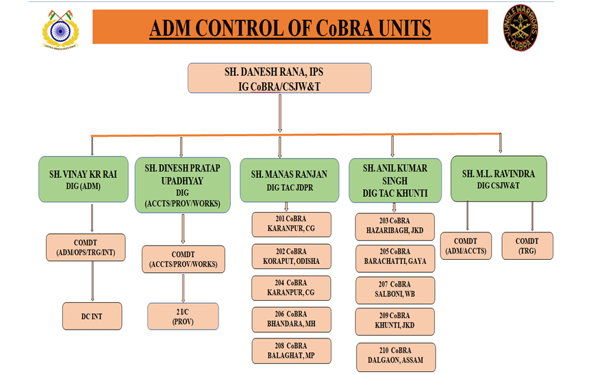 image of Cobra Sector Organization Structure 