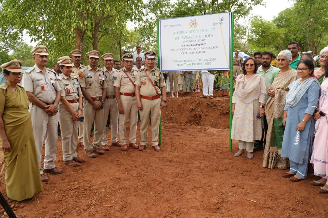 TREE PLANTATION