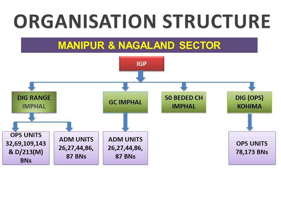 Manipur & Nagaland Organization Structure