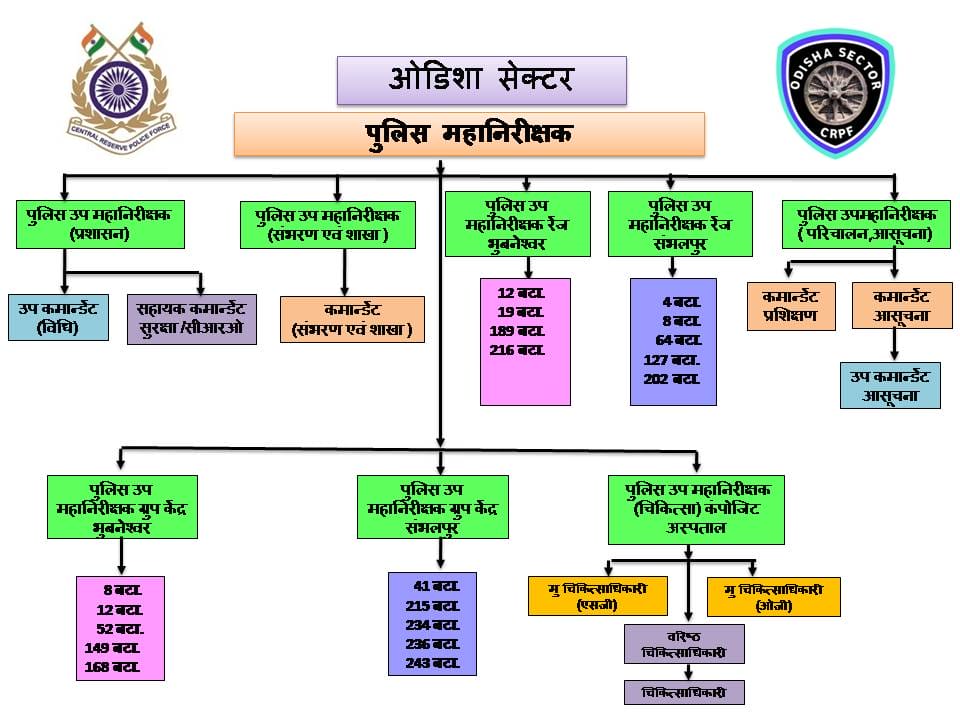 संगठन की संरचना उड़ीसा सेक्टर